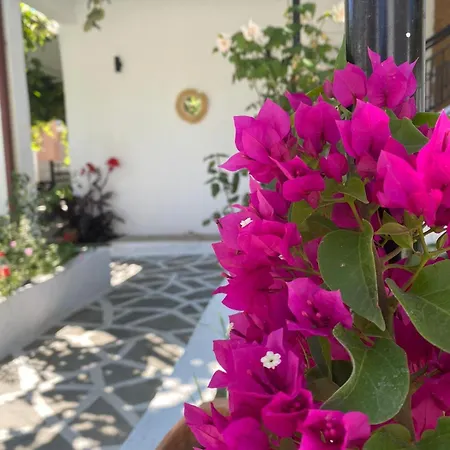 Ferienhaus Luna Nera