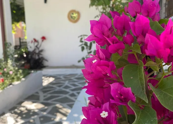 Σπίτι διακοπών Luna Nera